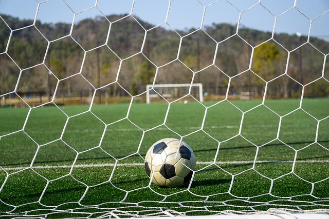 羡的家庭 羡的家庭