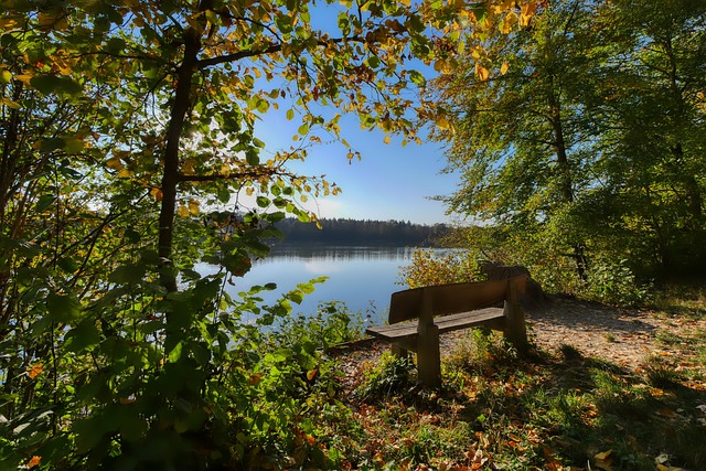 境逐渐恢复 境逐渐恢复