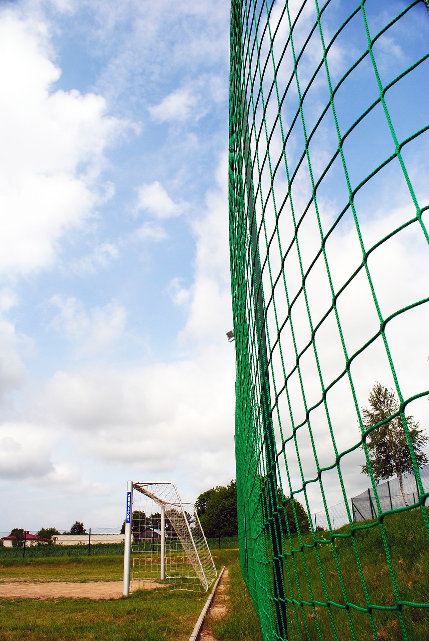 多年的核心 多年的核心